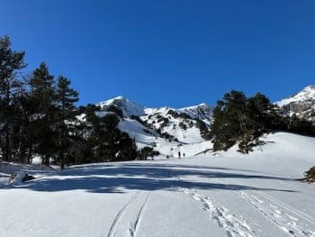 Descente à ski de randonnée dans la vallée du Galbe près de Font-Romeu lors d'un raid, avec des skieurs au loin dans un paysage enneigé parsemé de sapins et dominé par des sommets. Descente à ski de randonnée dans la vallée du Galbe près de Font-Romeu lors d'un raid, avec des skieurs au loin dans un paysage enneigé parsemé de sapins et dominé par des sommets.